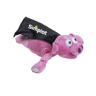 Custom Flying Oinking Pigs