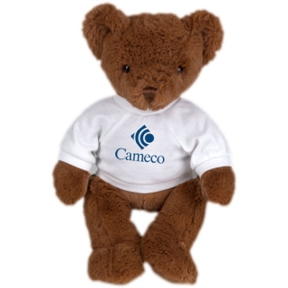 Customized Nutmeg Bear